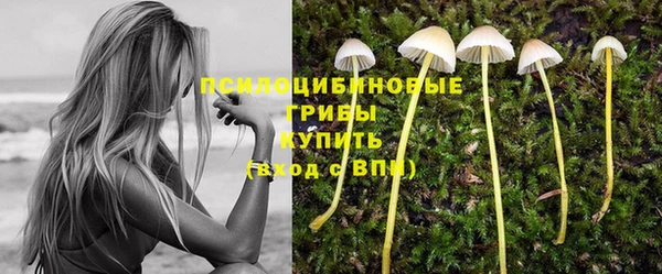 синтетический гашиш Дедовск
