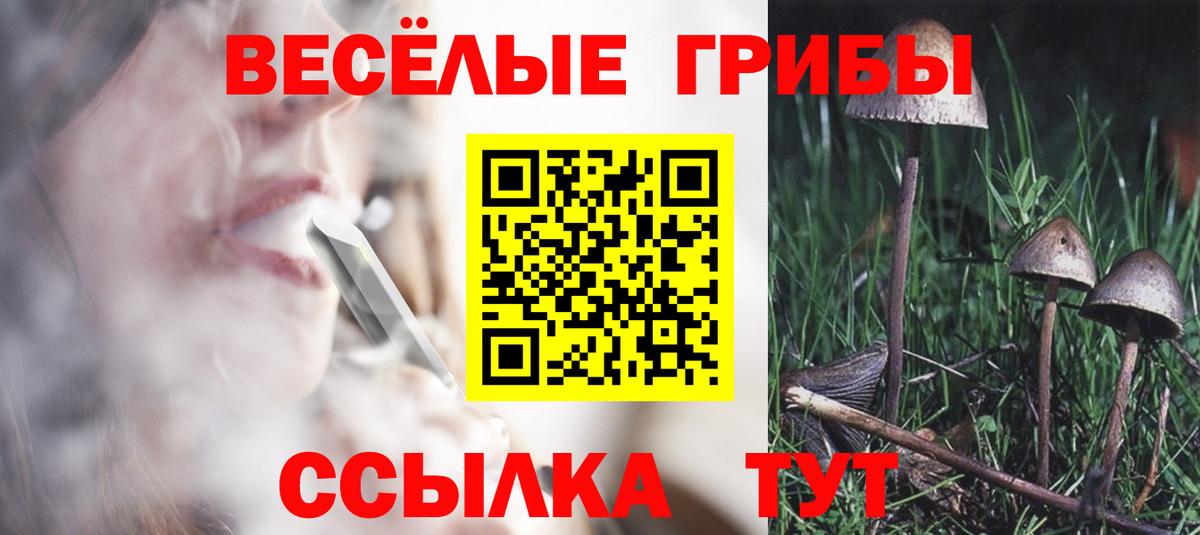 Минеральные Воды  Галлюциногенные грибы мицелий  Вход с VPN  Псилоцибиновые грибы мухоморы 