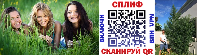 Конопля THC 21%  Минеральные Воды 
